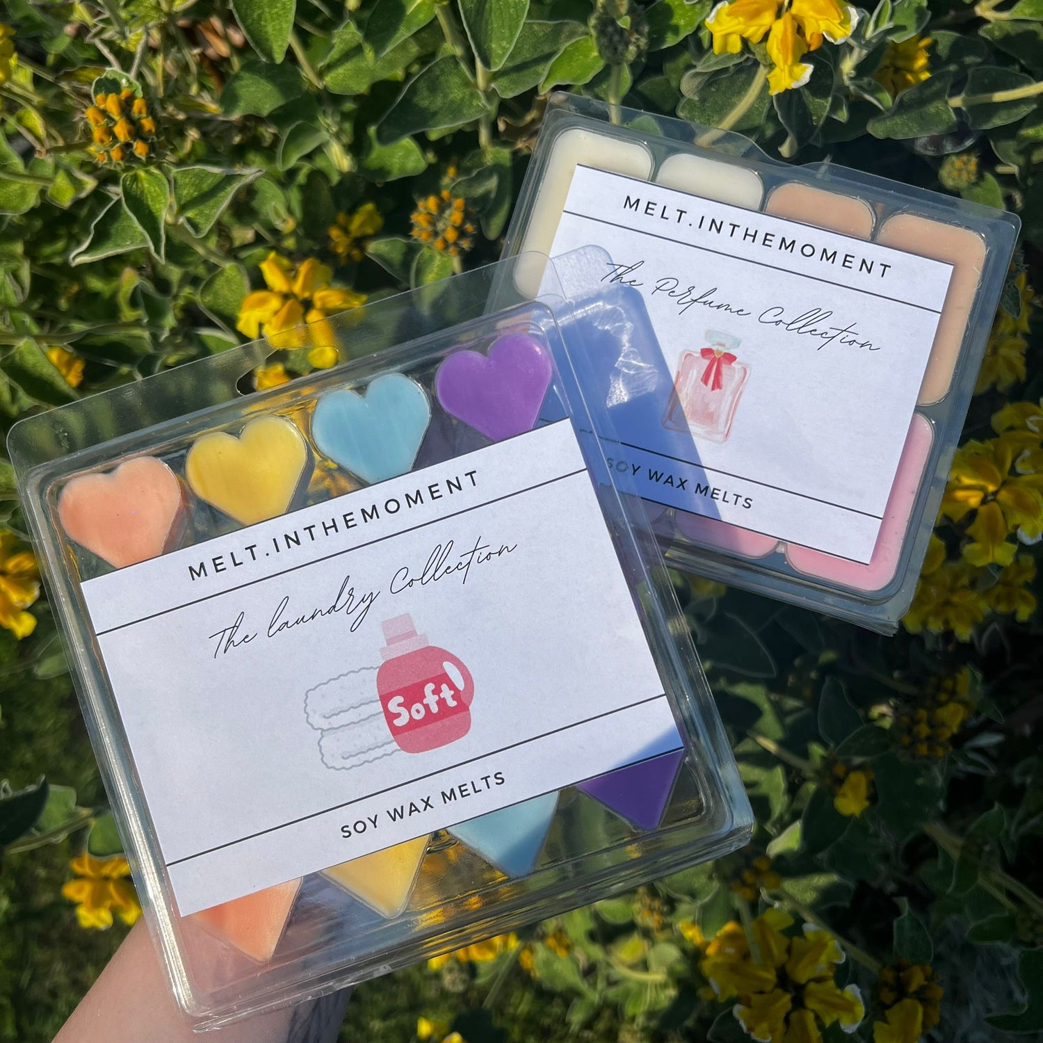 Box Set Wax Melts